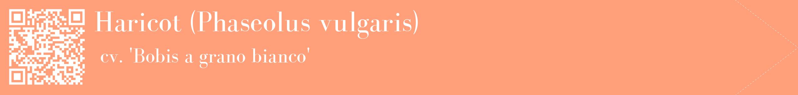 étiquette 2