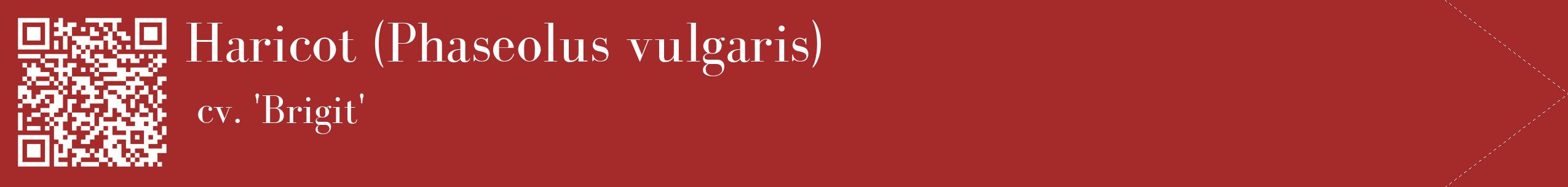 étiquette 2