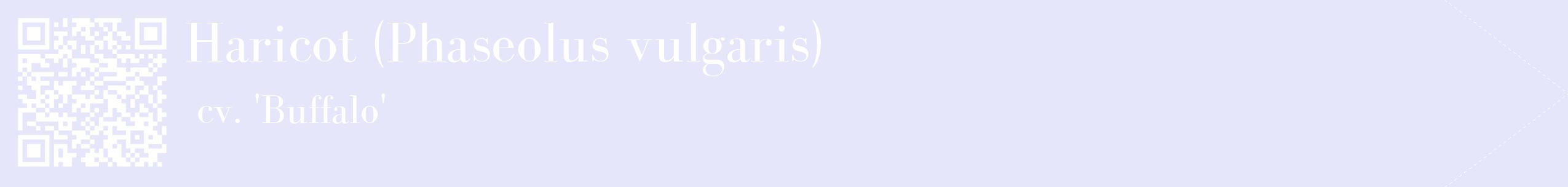 étiquette 2