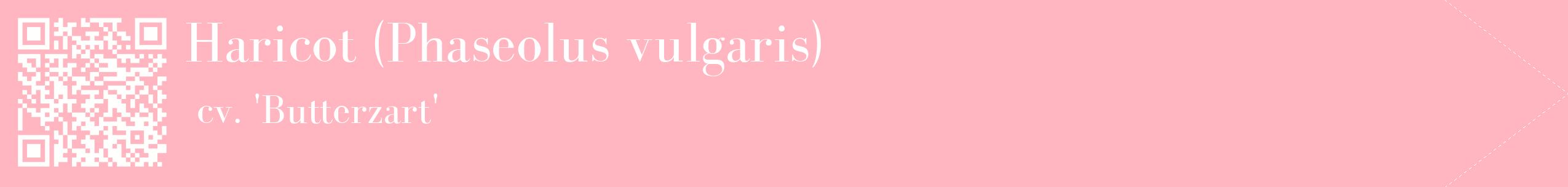 étiquette 2