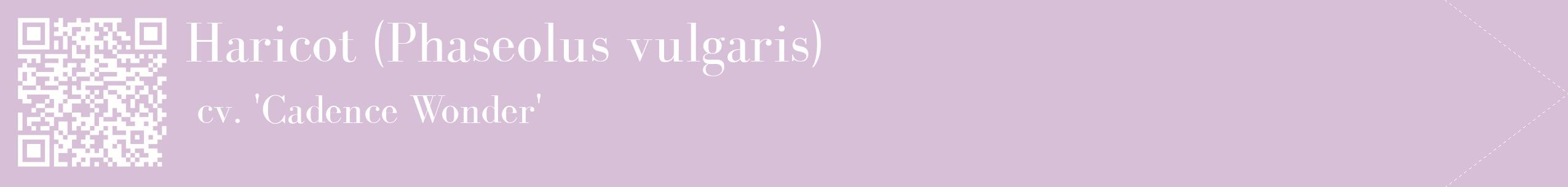 étiquette 2