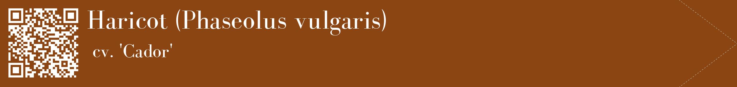 étiquette 2