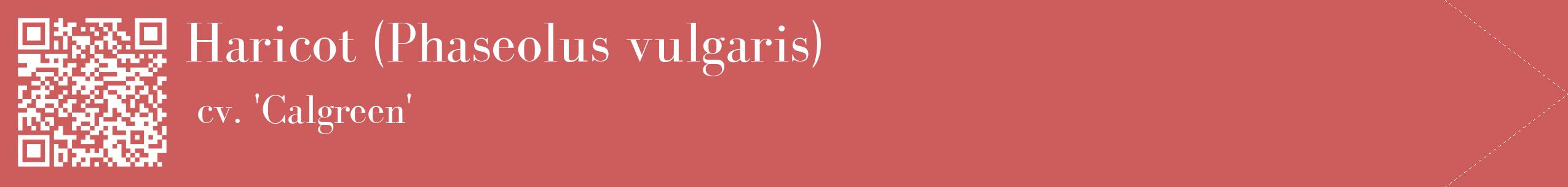 étiquette 2