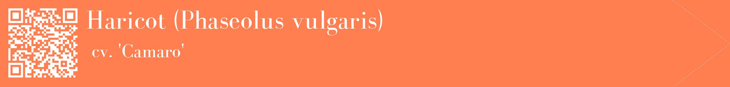 étiquette 2