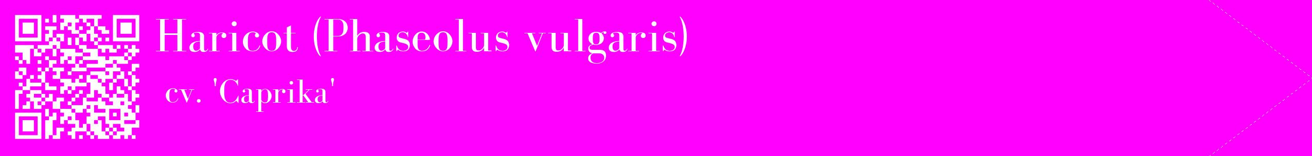 étiquette 2