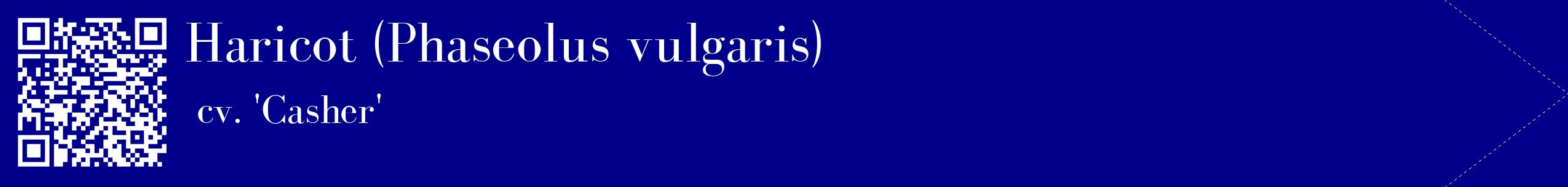 étiquette 2