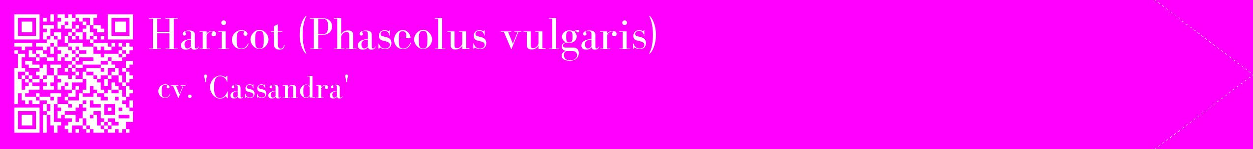 étiquette 2