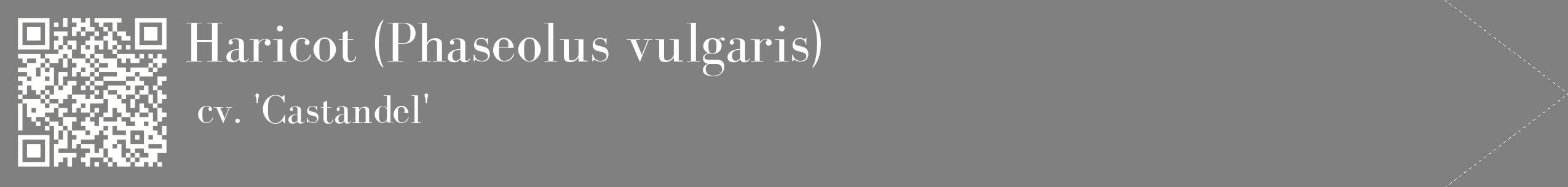 étiquette 2