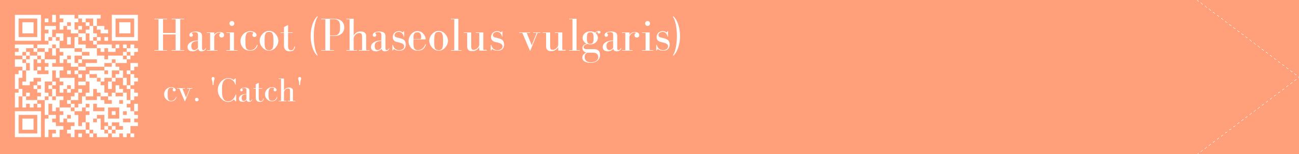 étiquette 2