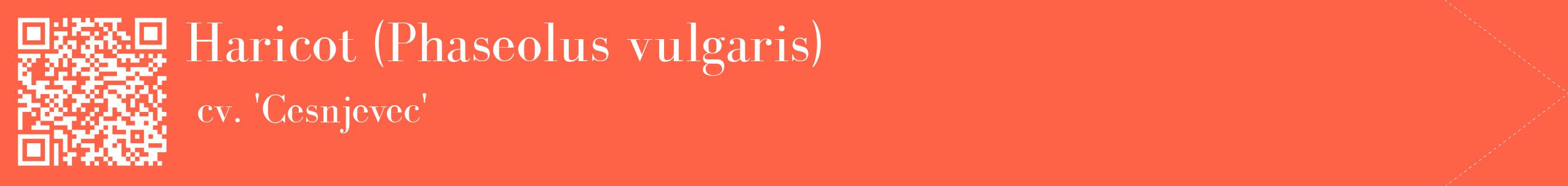 étiquette 2