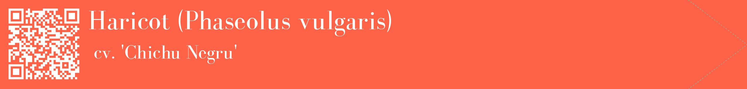 étiquette 2