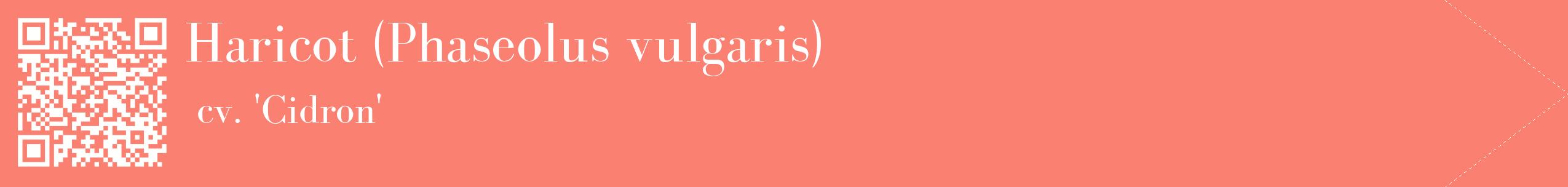 étiquette 2