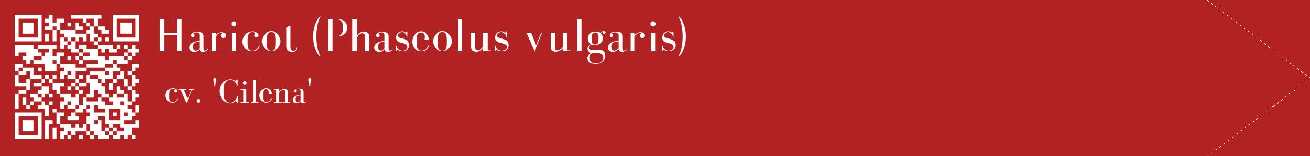 étiquette 2