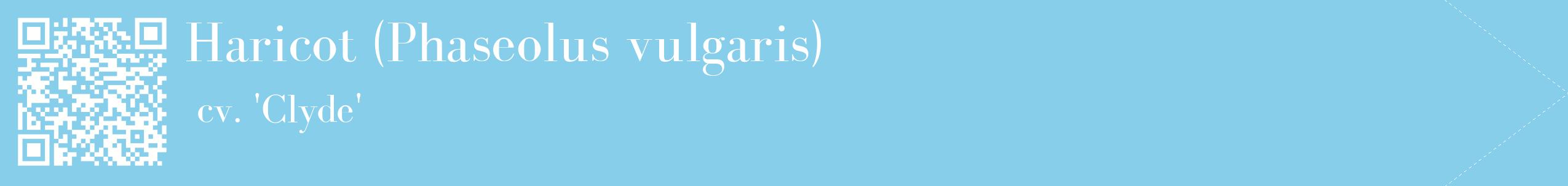 étiquette 2