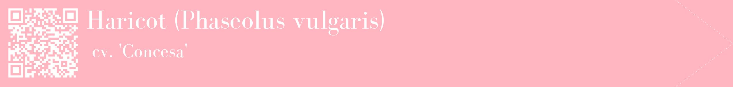 étiquette 2