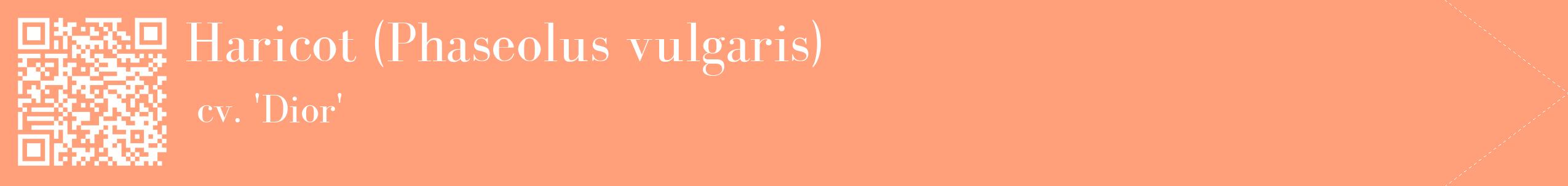 étiquette 2