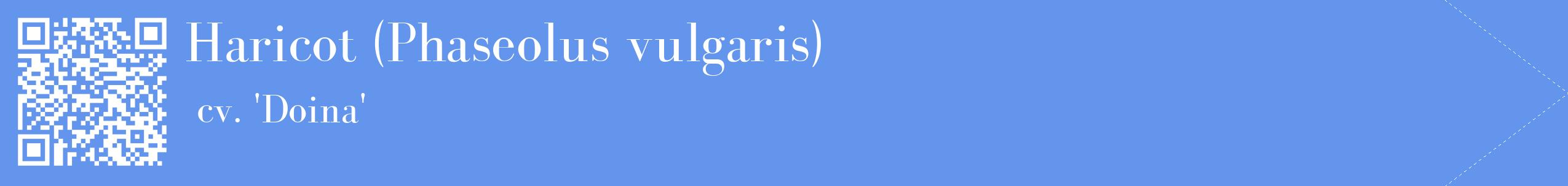 étiquette 2