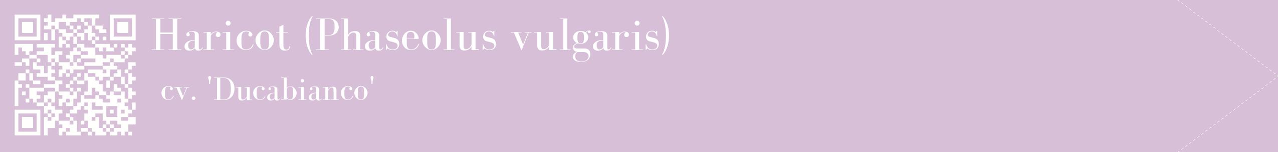 étiquette 2