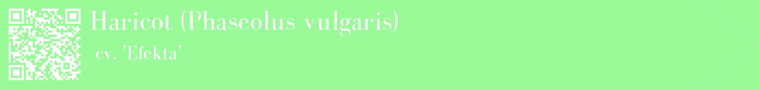 étiquette 2