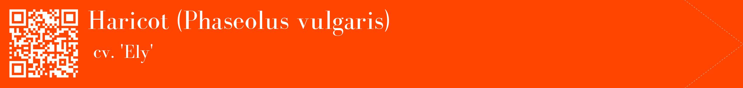 étiquette 2