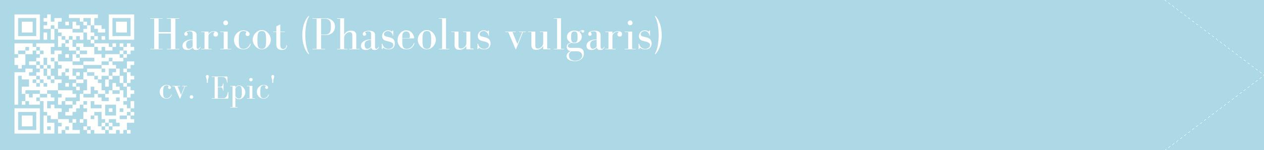 étiquette 2