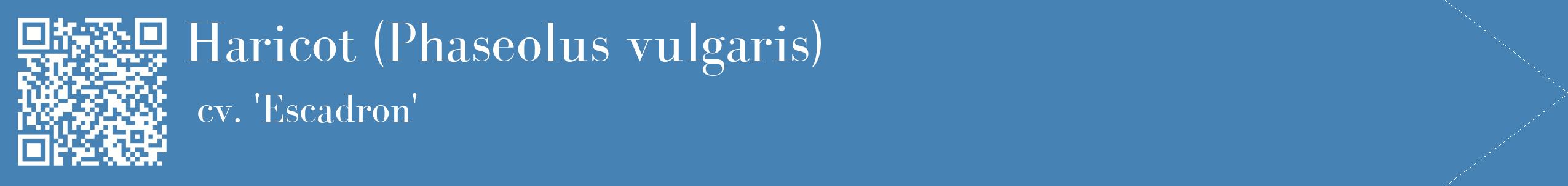 étiquette 2