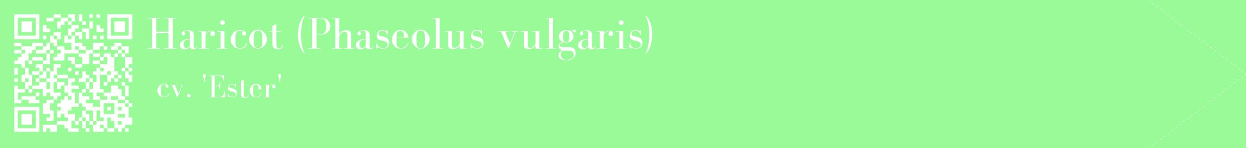 étiquette 2