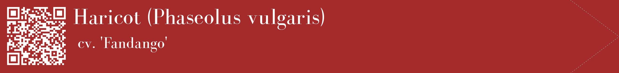 étiquette 2