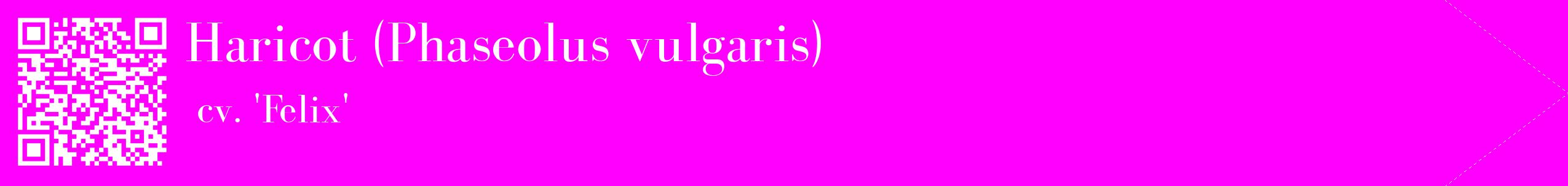 étiquette 2