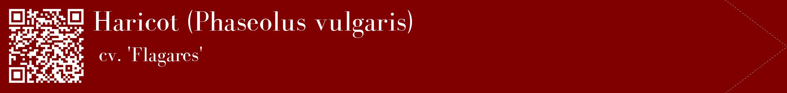 étiquette 2