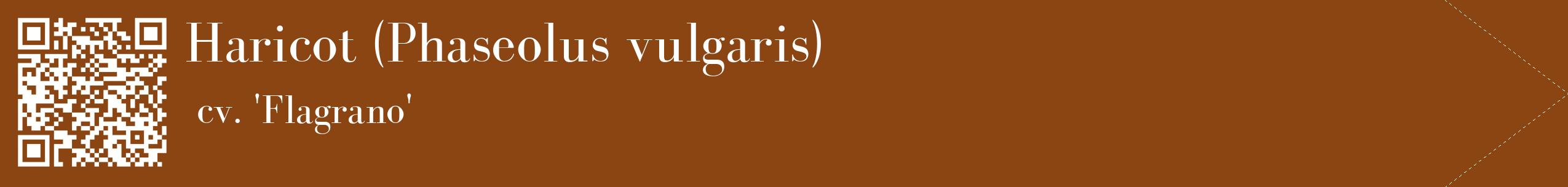 étiquette 2