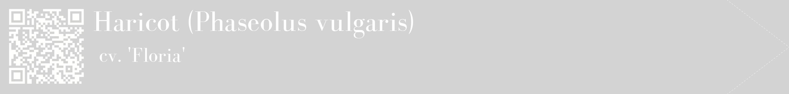étiquette 2