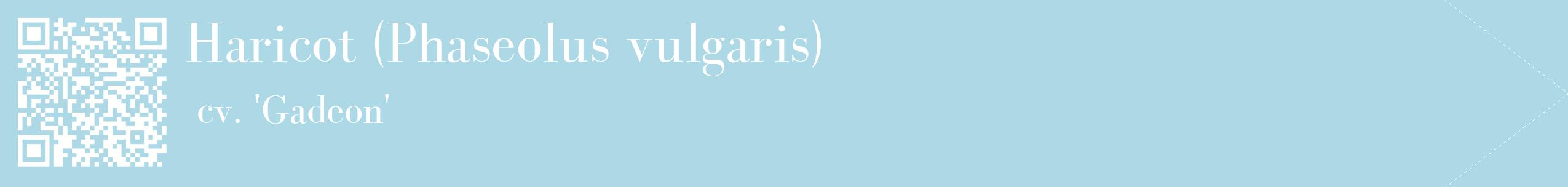 étiquette 2