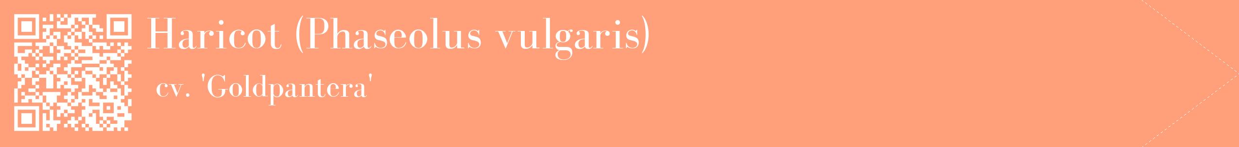 étiquette 2