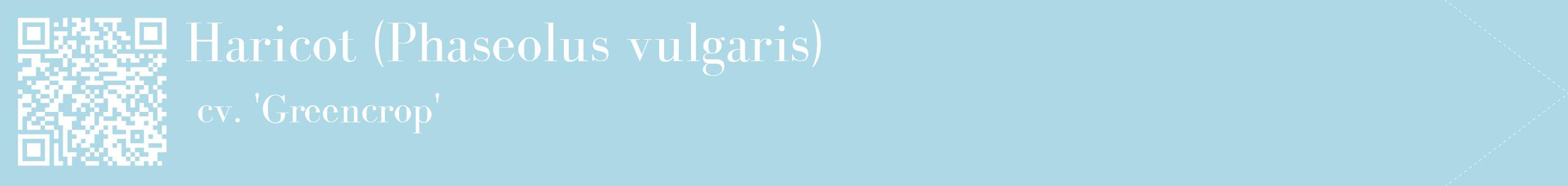 étiquette 2