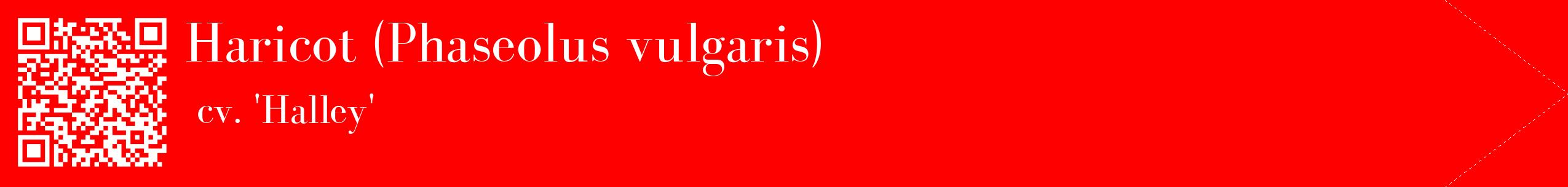 étiquette 2