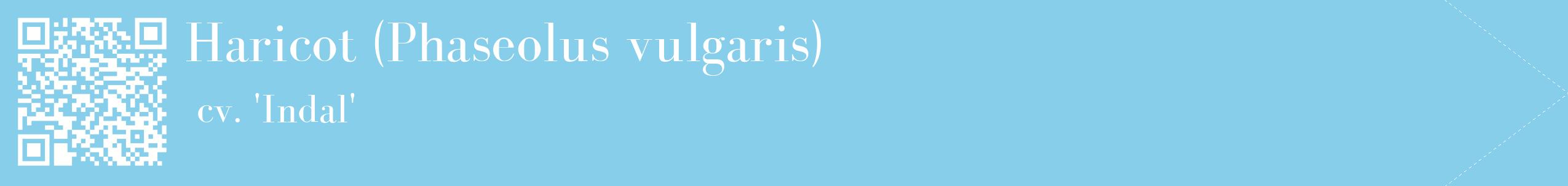 étiquette 2