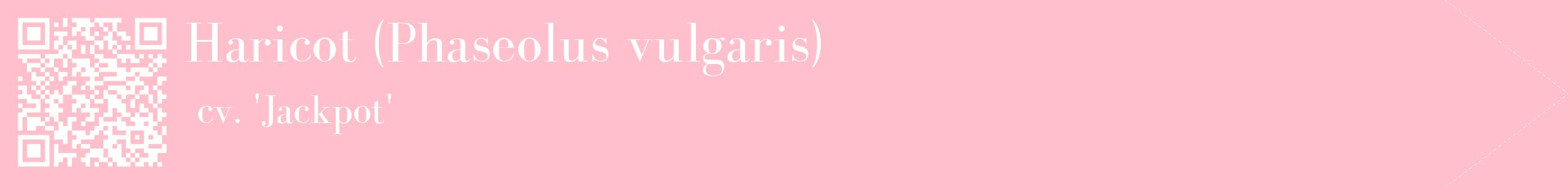 étiquette 2