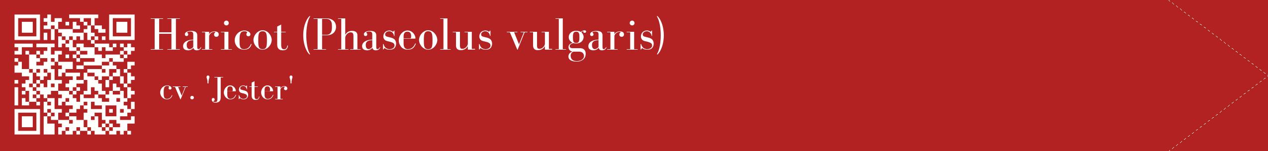 étiquette 2