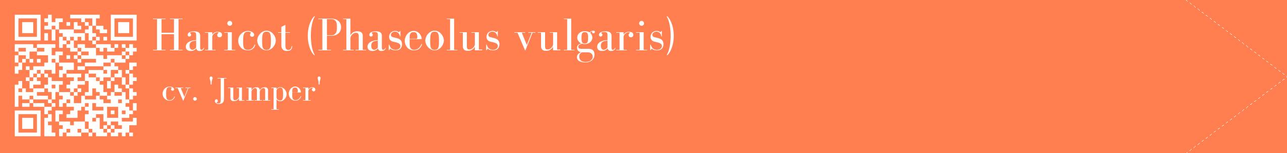 étiquette 2