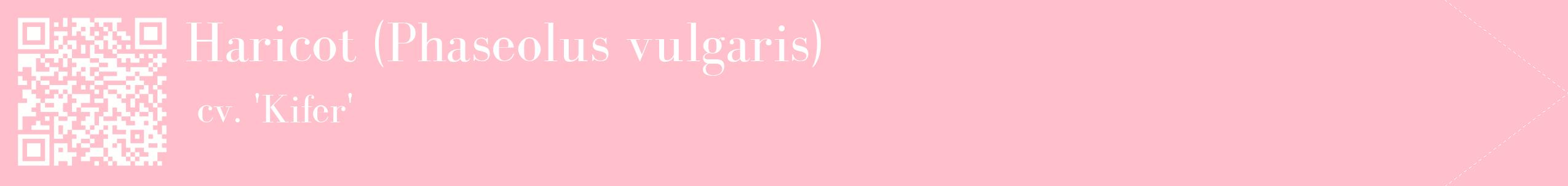 étiquette 2