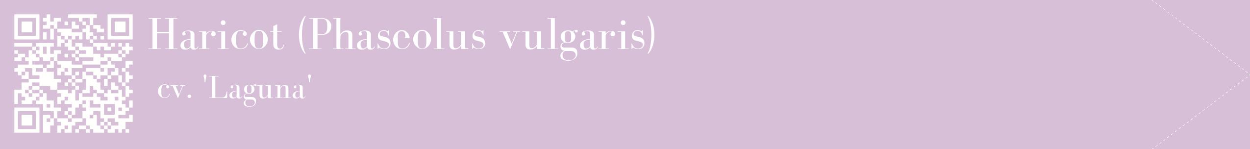 étiquette 2