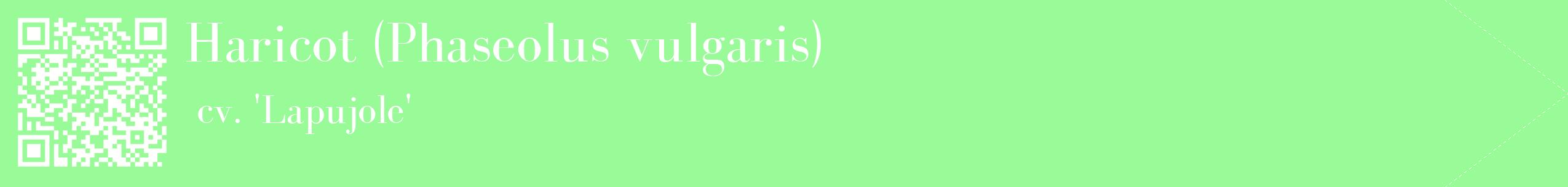 étiquette 2