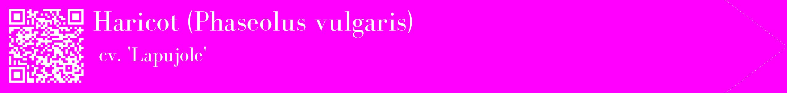 étiquette 2