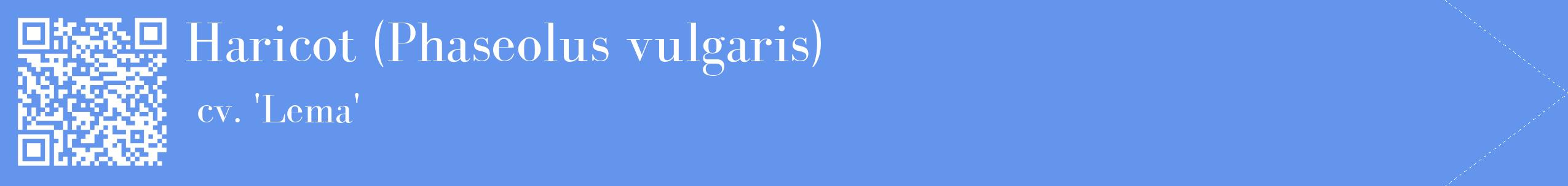 étiquette 2