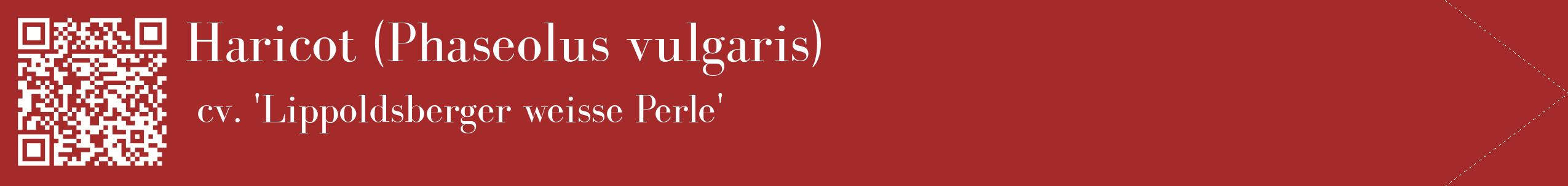 étiquette 2