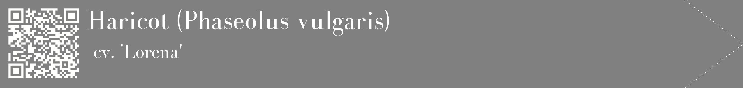 étiquette 2