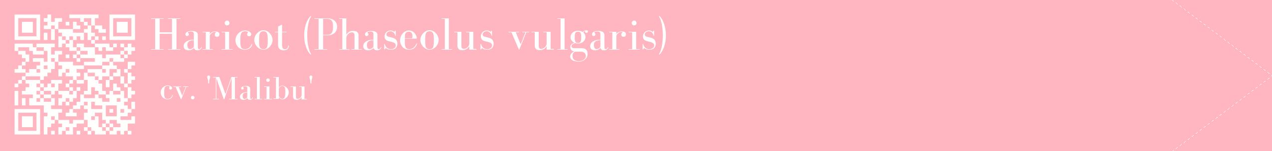 étiquette 2