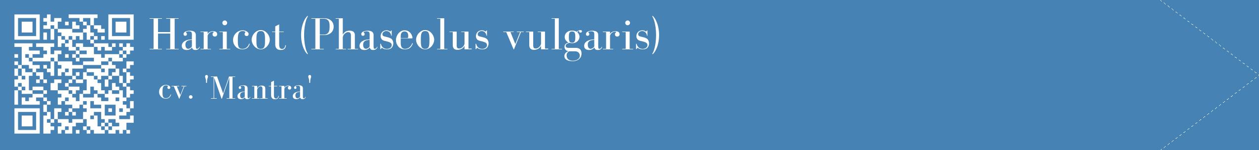 étiquette 2