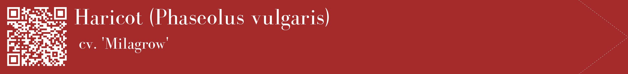 étiquette 2